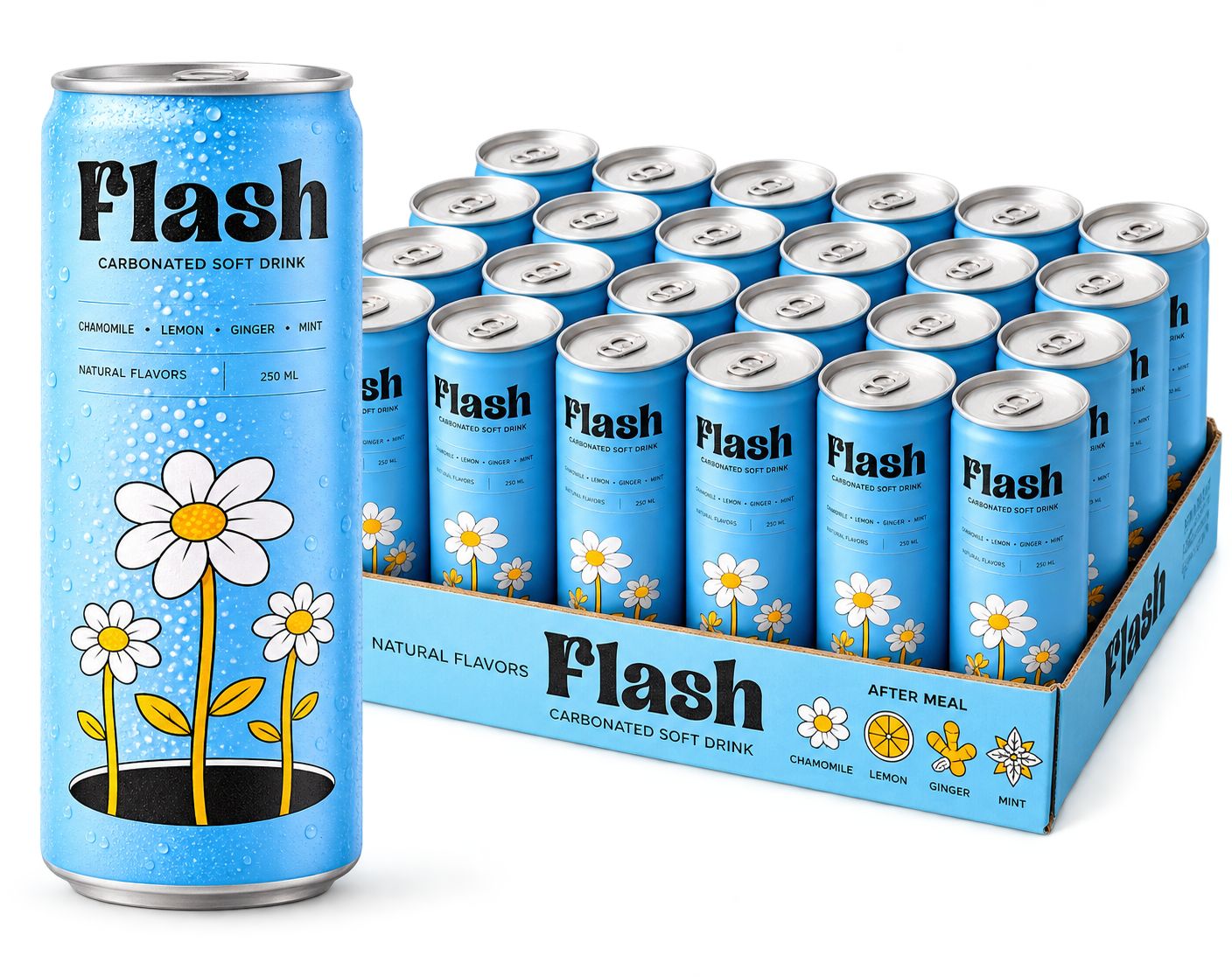 Flash Carbonated Soft Drink – 250ml × 24 Cans